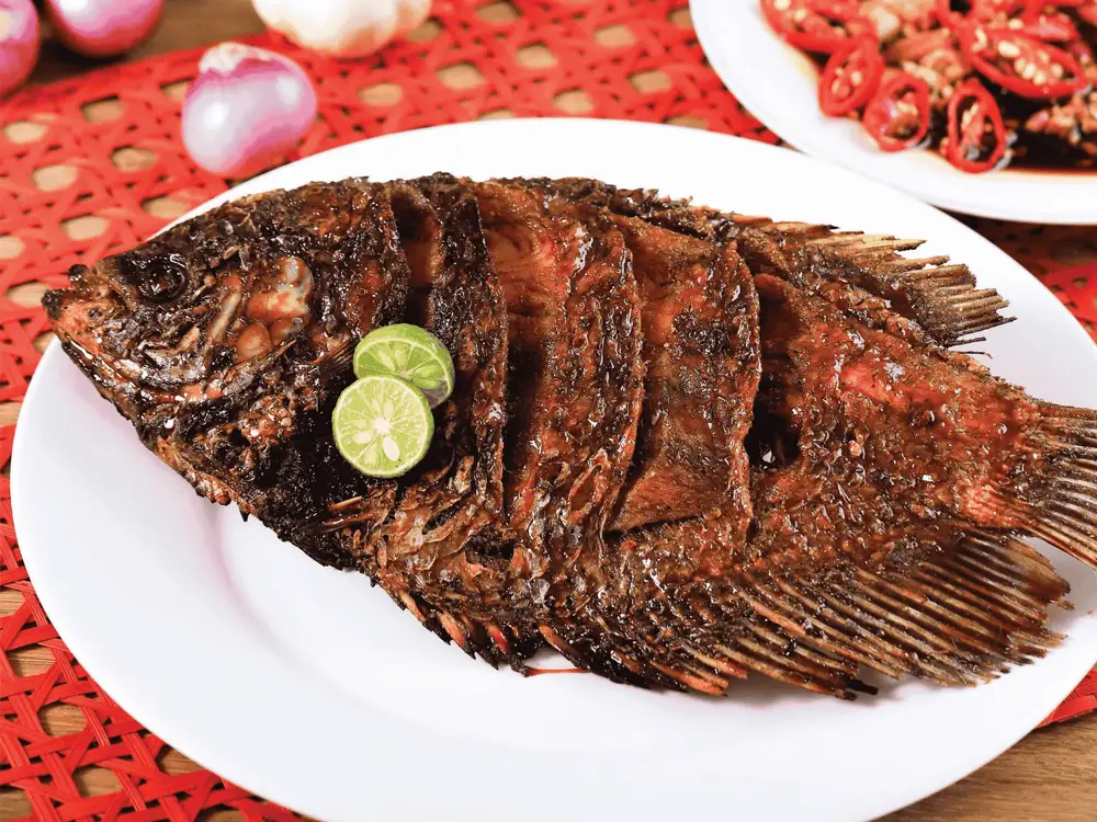 Equinox Restaurant fish dishes food image for the digital menu
